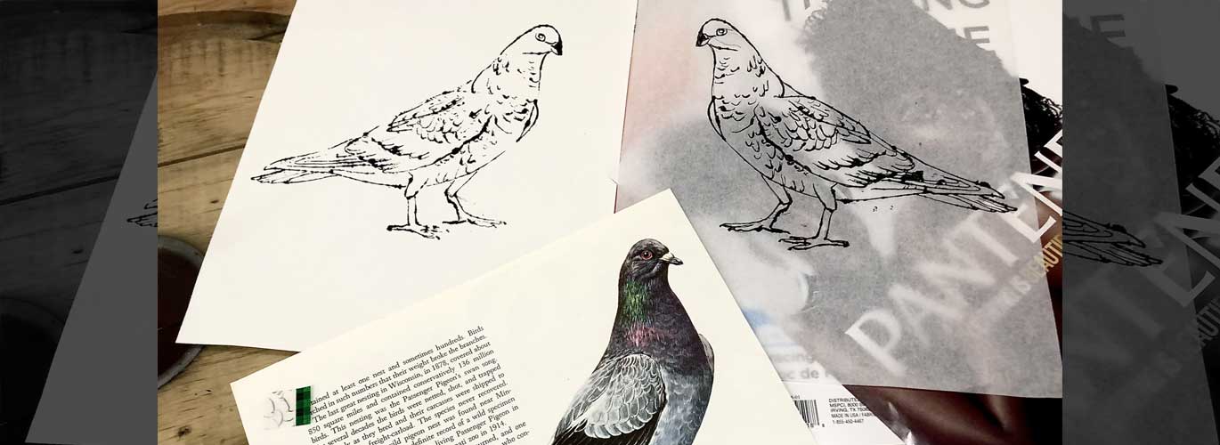 Chosen Spirit Image 101 – Jan 26th