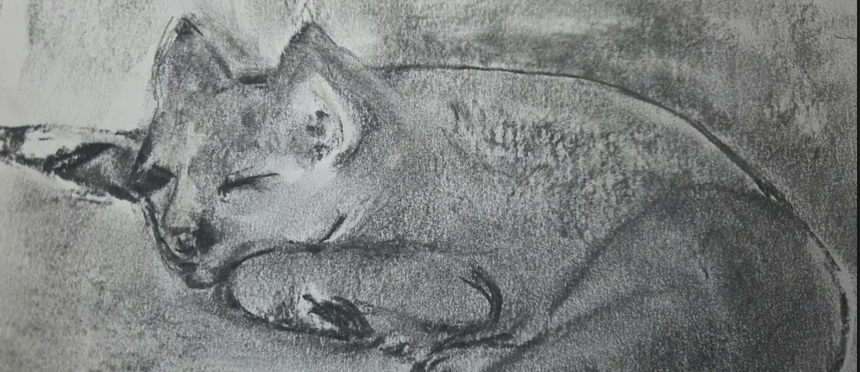 Build Your Drawing Skills – July 26th