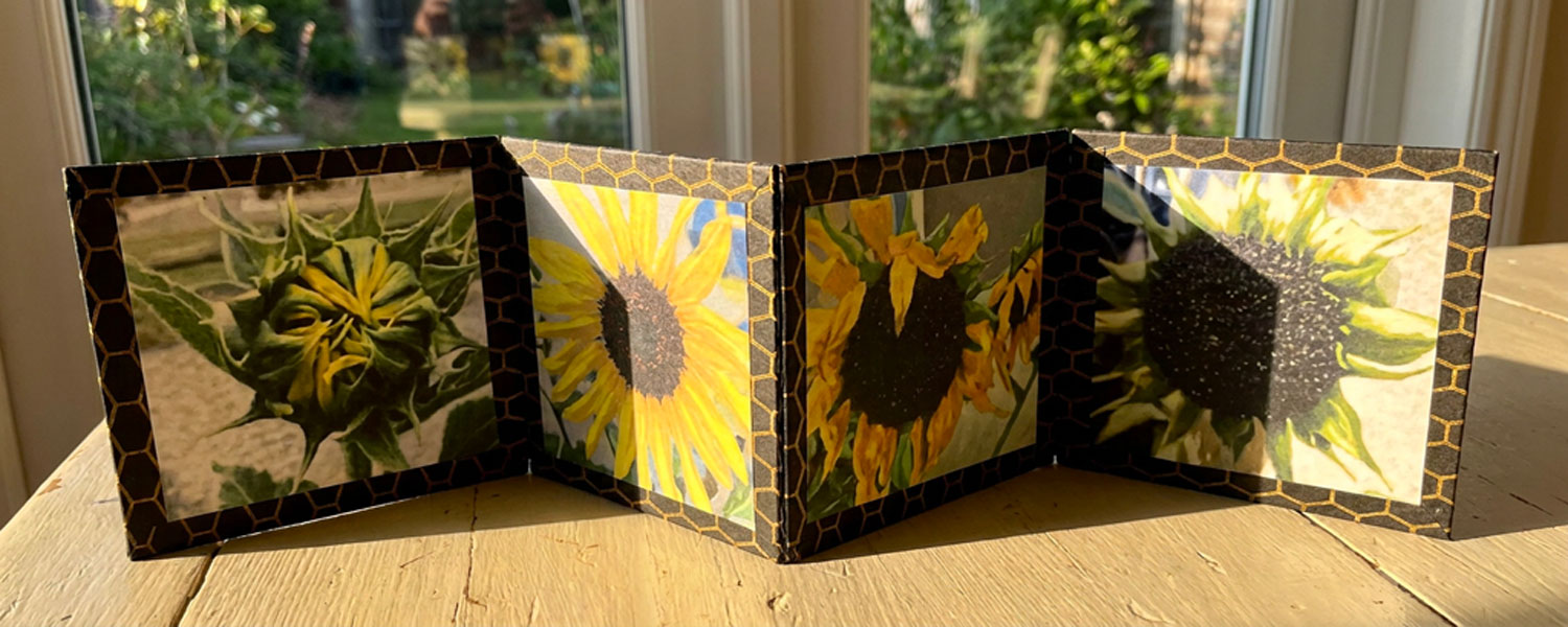 Hinged Story Books – June 22nd